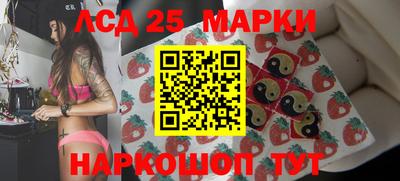 альфа пвп Новодвинск