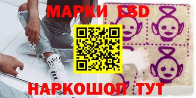 альфа пвп Новодвинск