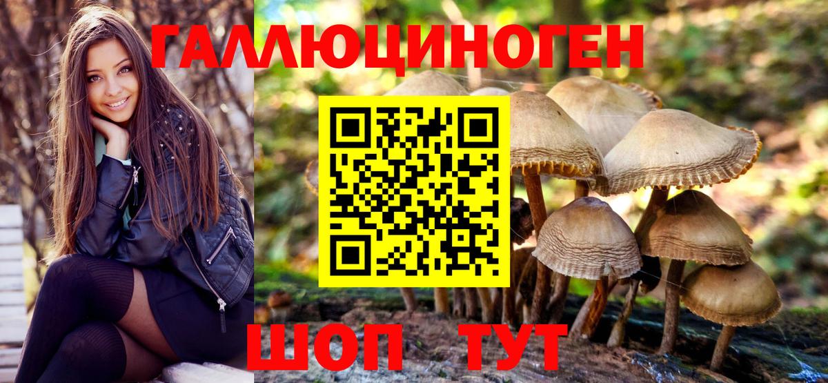 Галлюциногенные грибы Psilocybine cubensis Тула